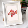 12 Mini Paintings | Fische-Set