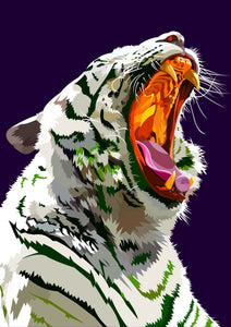 Weißer Tiger | Exklusivität - Myth Of Asia 