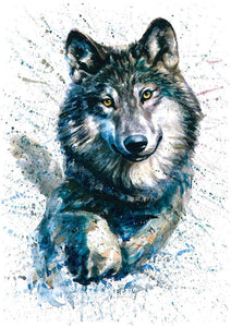 Wolf - Myth Of Asia 