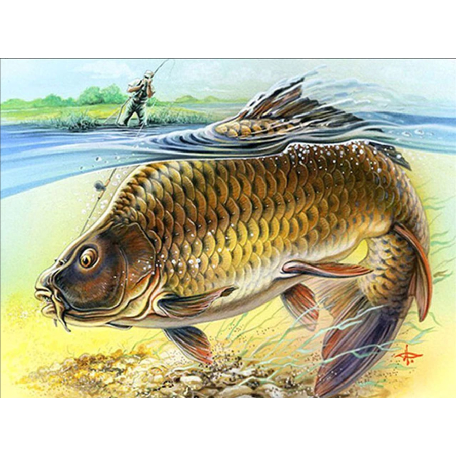 Fische Im Wasser - Myth Of Asia Deutschland