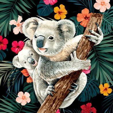 Koala - Myth Of Asia Deutschland