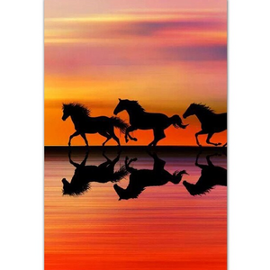 Pferde - Sonnenuntergang - Myth Of Asia Deutschland