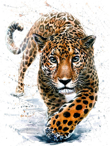 Leopard - Myth Of Asia 