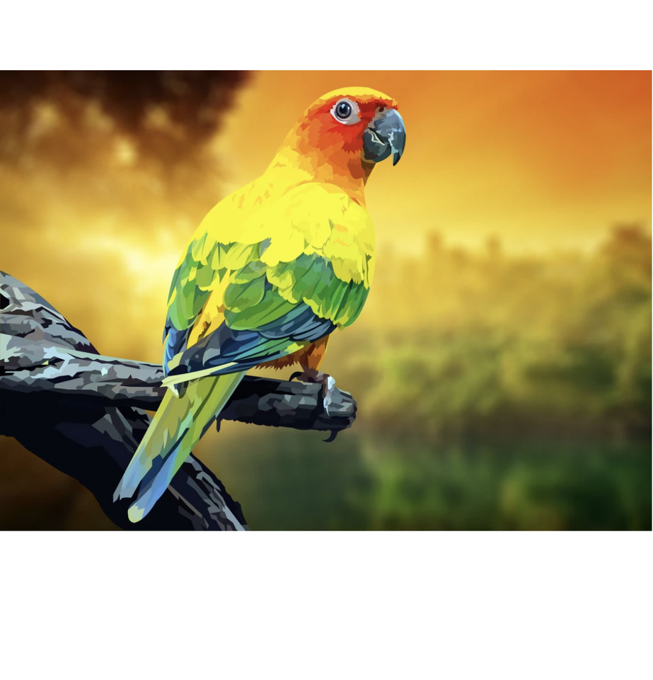 Papagei | Exklusivität - Myth Of Asia 