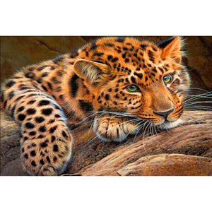 Leopard - Myth Of Asia 