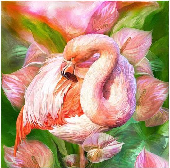Flamingo - Myth Of Asia 
