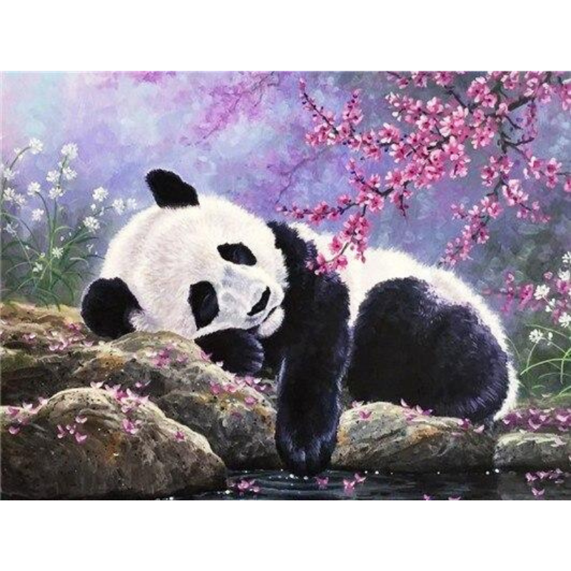 Pandabär - Myth Of Asia 