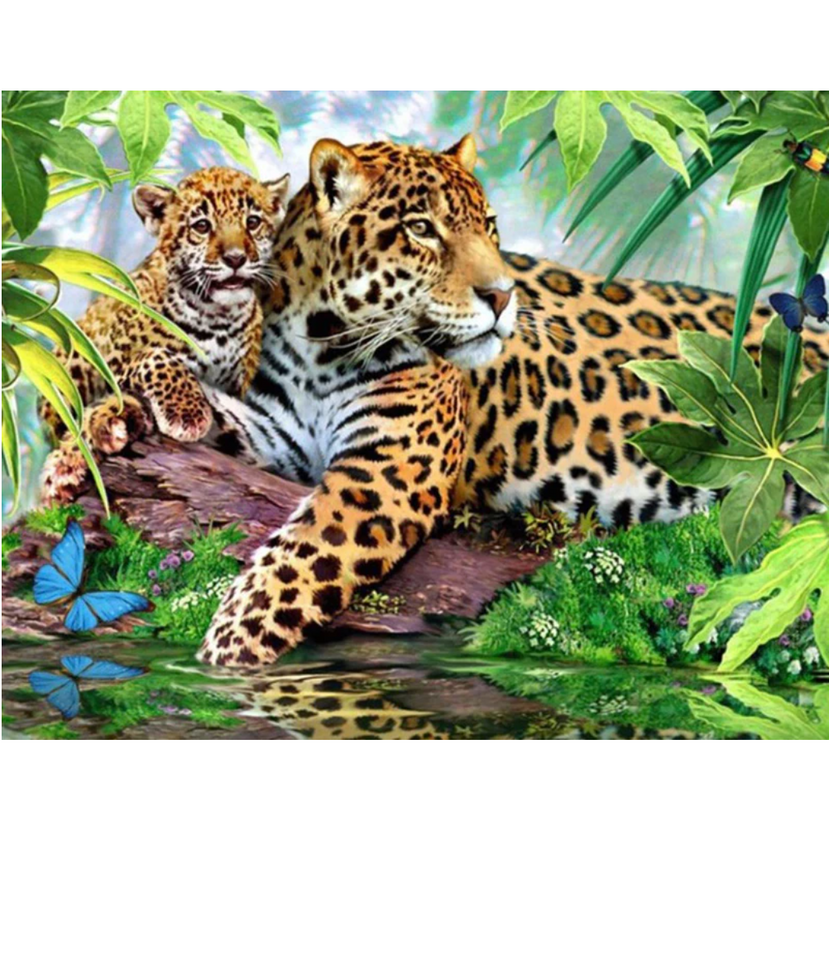 Leopard Mit Jungtieren - Myth Of Asia 
