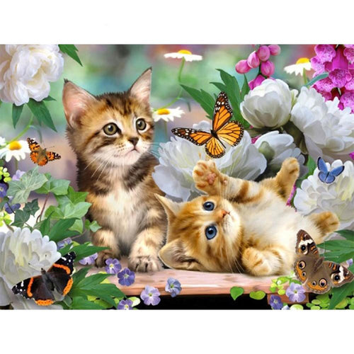 Katze - Schmetterling - Myth Of Asia 