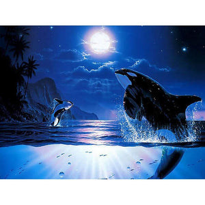 Orca - Myth Of Asia 