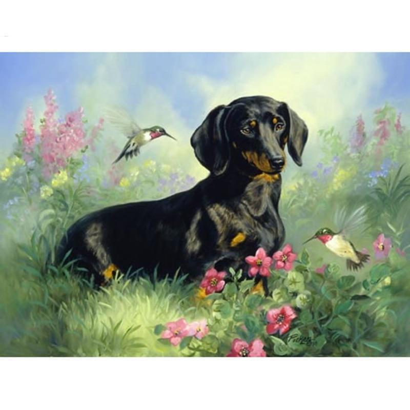 Dachshund - Myth Of Asia 