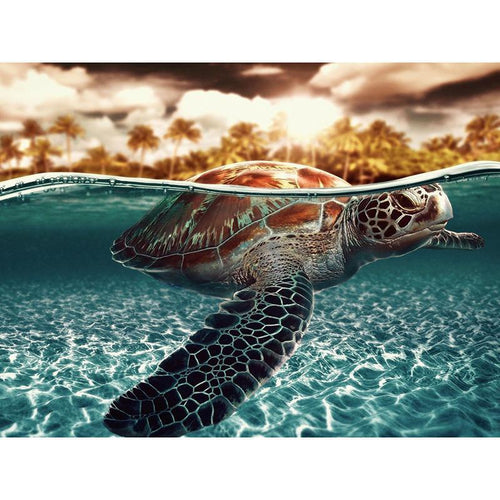 Schildkröte - Myth Of Asia 