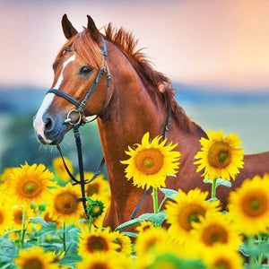 Pferd - Sonnenblumen - Myth Of Asia Deutschland