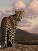 Leopard - Myth Of Asia Deutschland