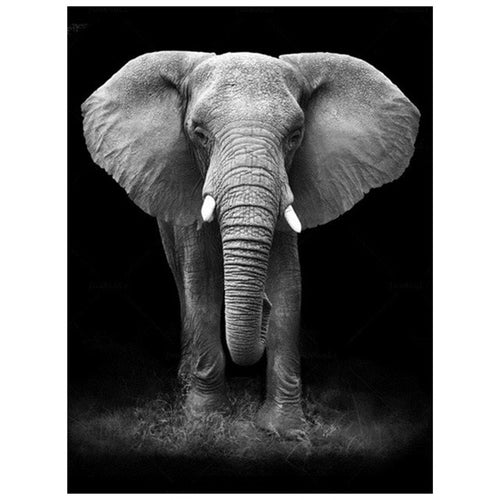 Elefant - Myth Of Asia 
