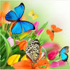 Schmetterlinge Mit Blumen - Myth Of Asia Deutschland
