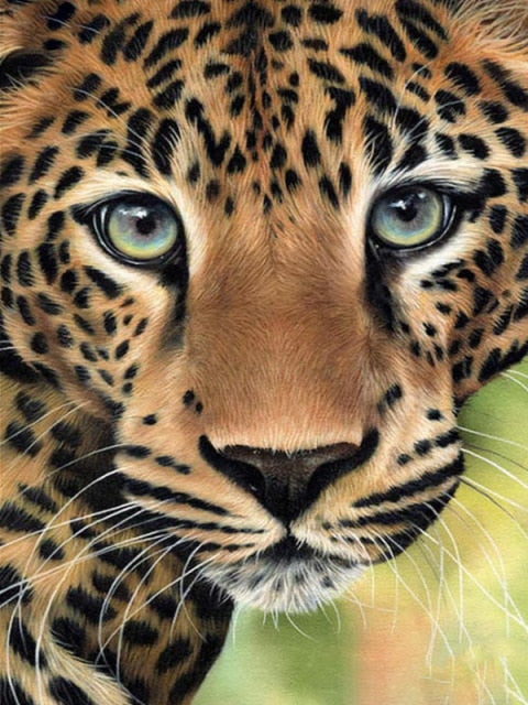 Leopard | Diamond Painting - Myth Of Asia Deutschland